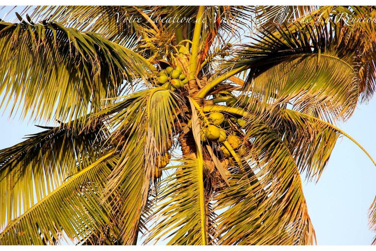 La Kaz A L'Etang - Votre Location De Vacances A L'Ile De La Reunion 圣路易斯 外观 照片
