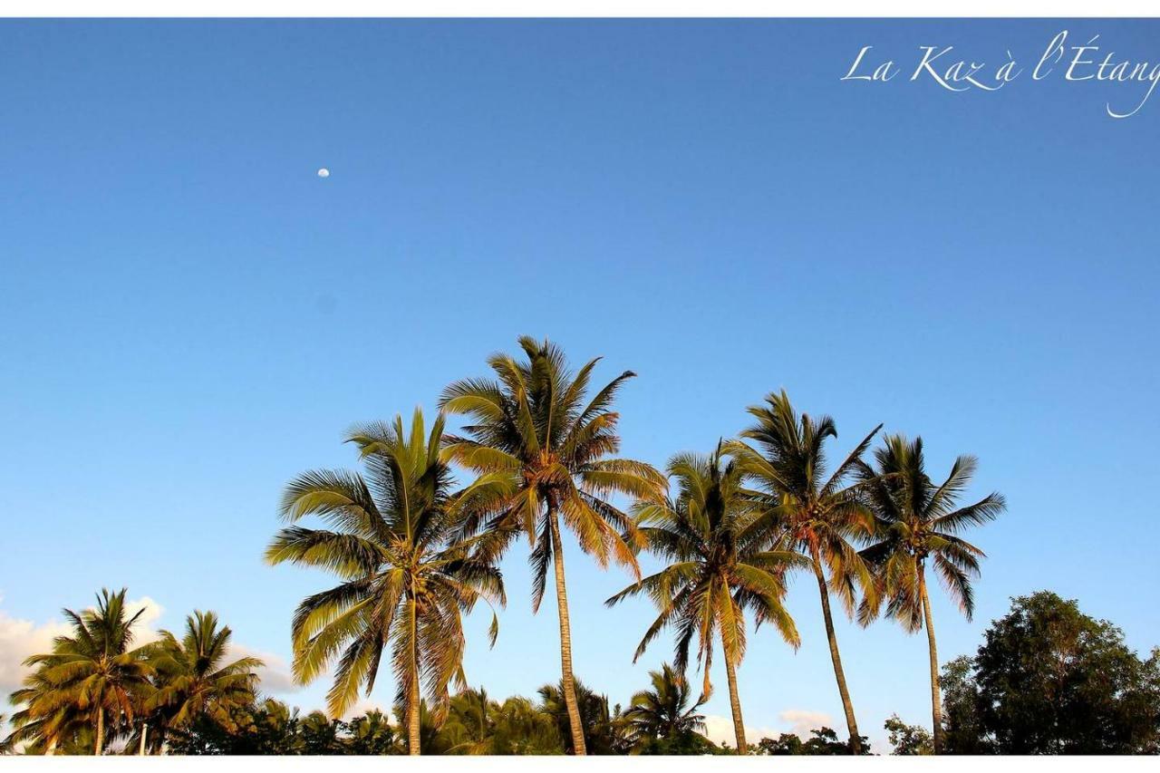 La Kaz A L'Etang - Votre Location De Vacances A L'Ile De La Reunion 圣路易斯 外观 照片